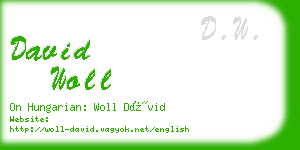 david woll business card